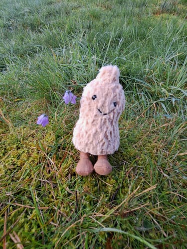 Customer photo review of Amuseables Peanut | Jellycat