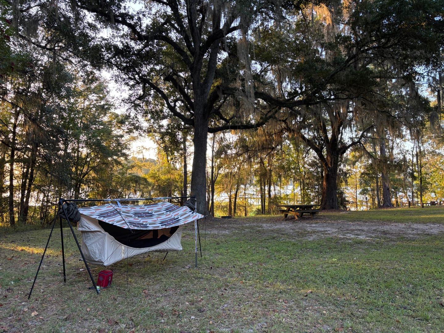 Customer photo review of Haven Stand by YOBOGear