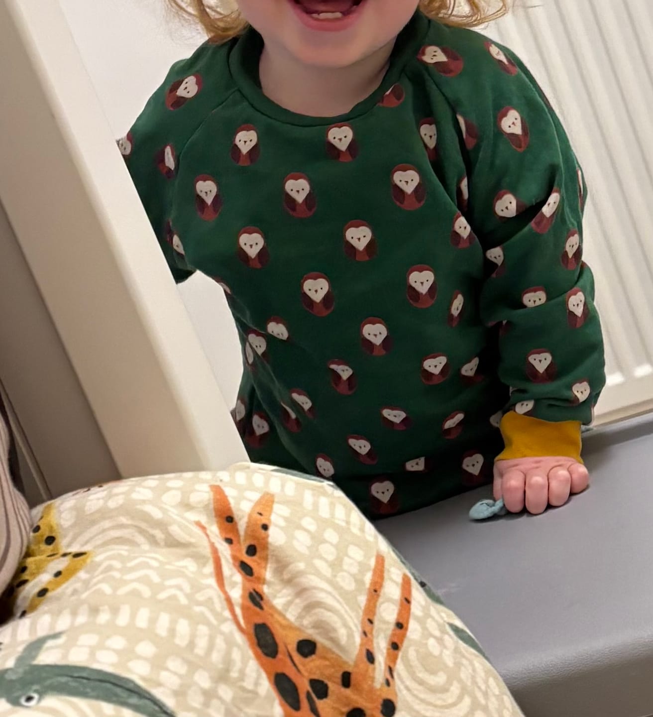 Customer photo review of Brown Owl Raglan Sweatshirt