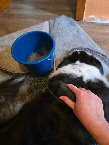 Customer photo review of Fellwunder Bürste  - Der Bestseller