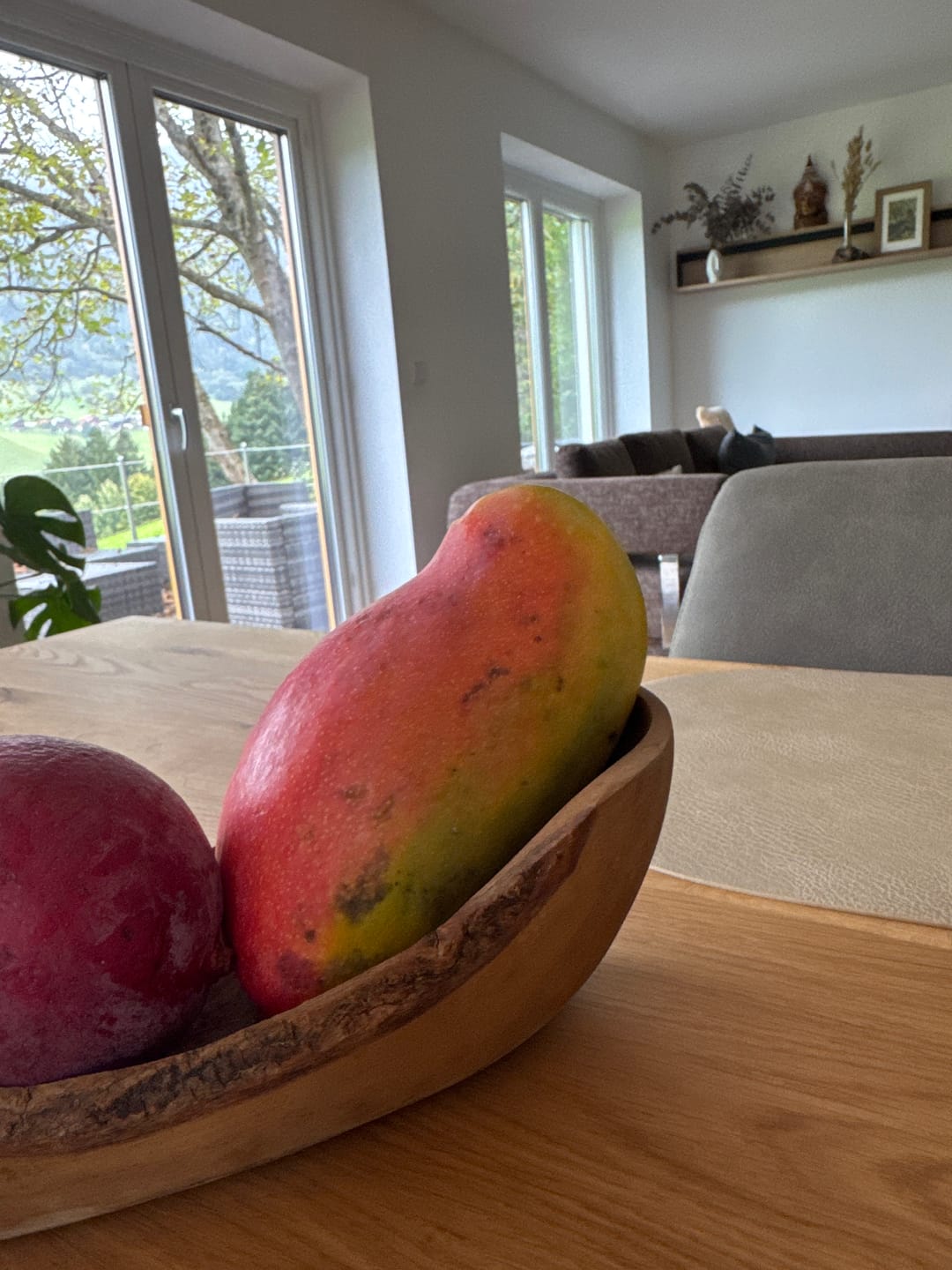 Customer photo review of Mango Valencia Pride von Julian Aktionspreis %