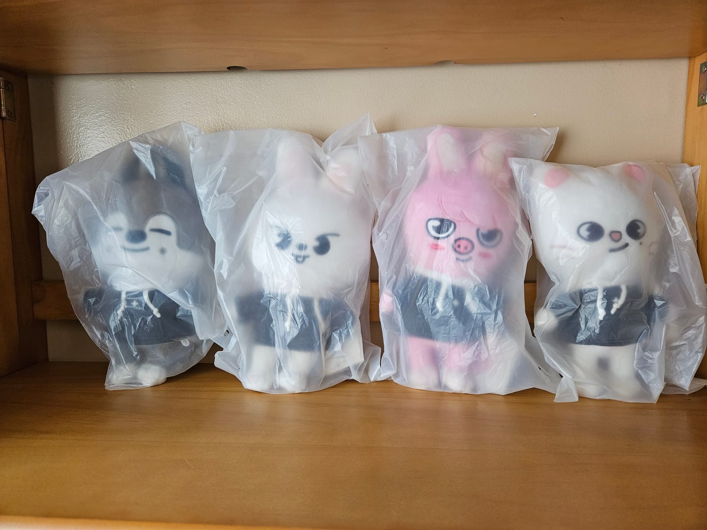 Customer photo review of STRAY KIDS - SKZ'S MAGIC SCHOOL OFFICIAL MD SKZOO PLUSH ORIGINAL VER.