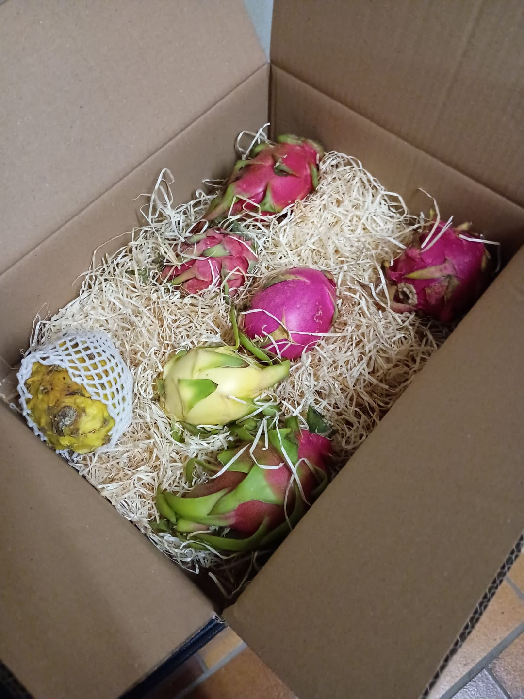 Customer photo review of Drachenfrucht Mix Spar-Box