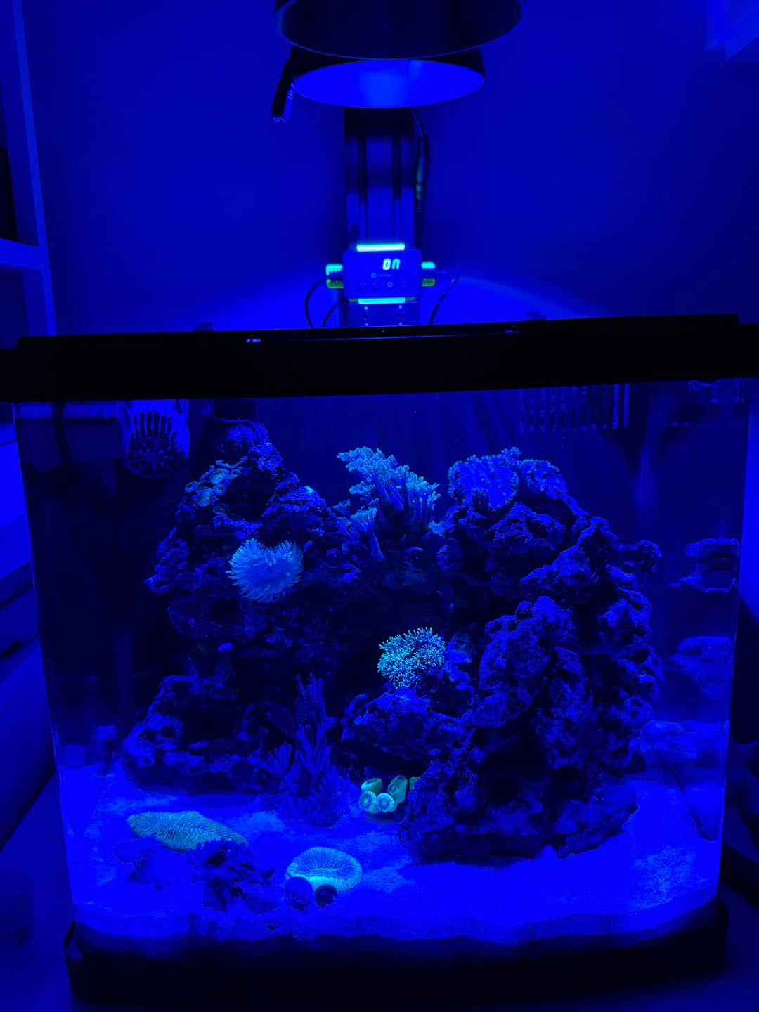 Customer photo review of Illumagic Pixel