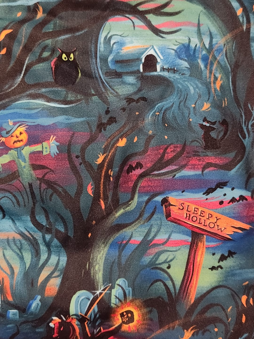Customer photo review of Disney "Headless Havoc" – Performance Hoodie