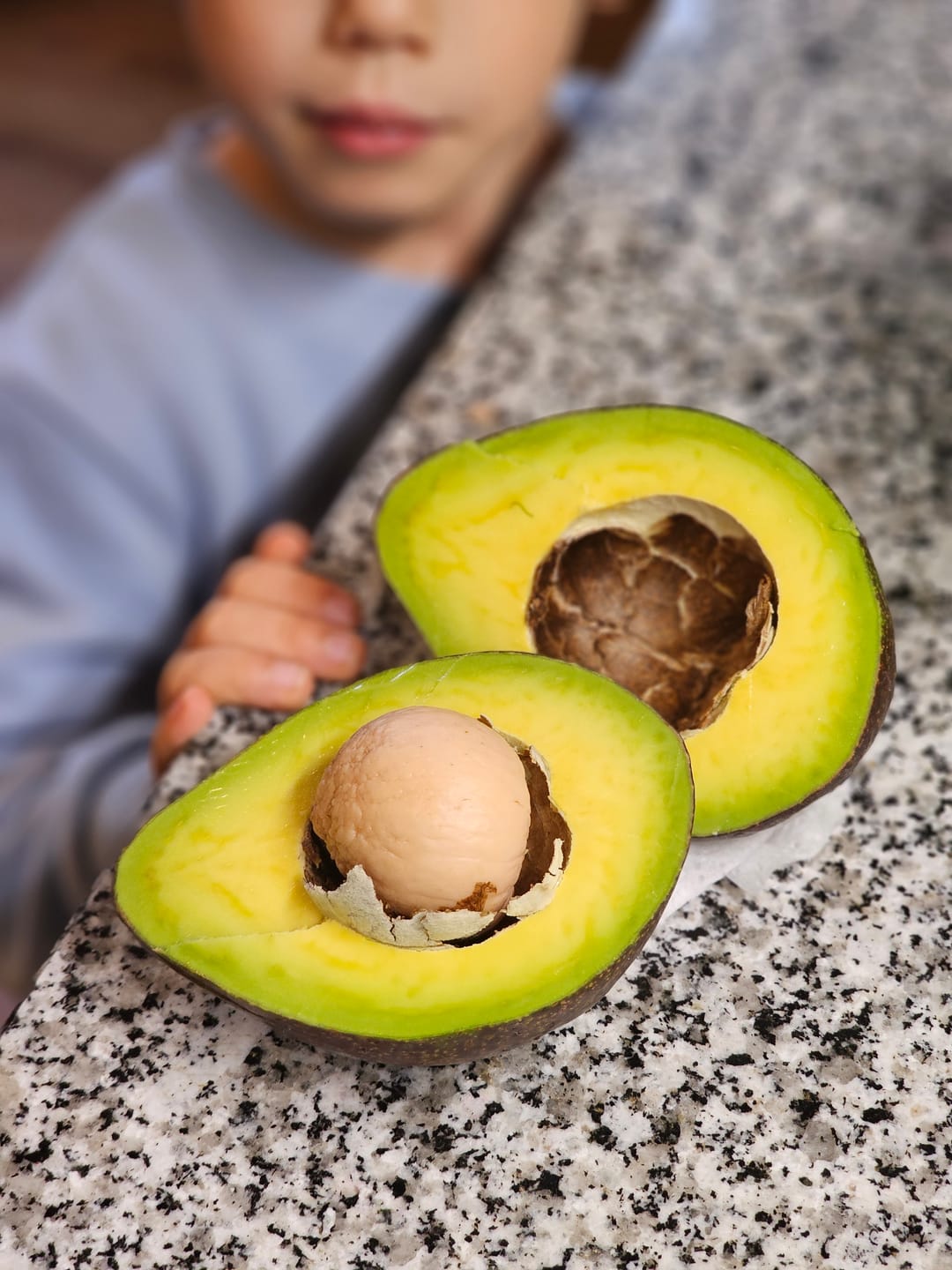 Customer photo review of Avocado "Jumbo" Bio & Fair Kipepeo
