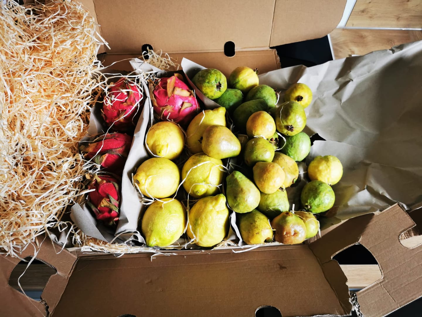 Customer photo review of Ätna Sommerzitronen (gelb-grün) Bio von Andrea Sizilien