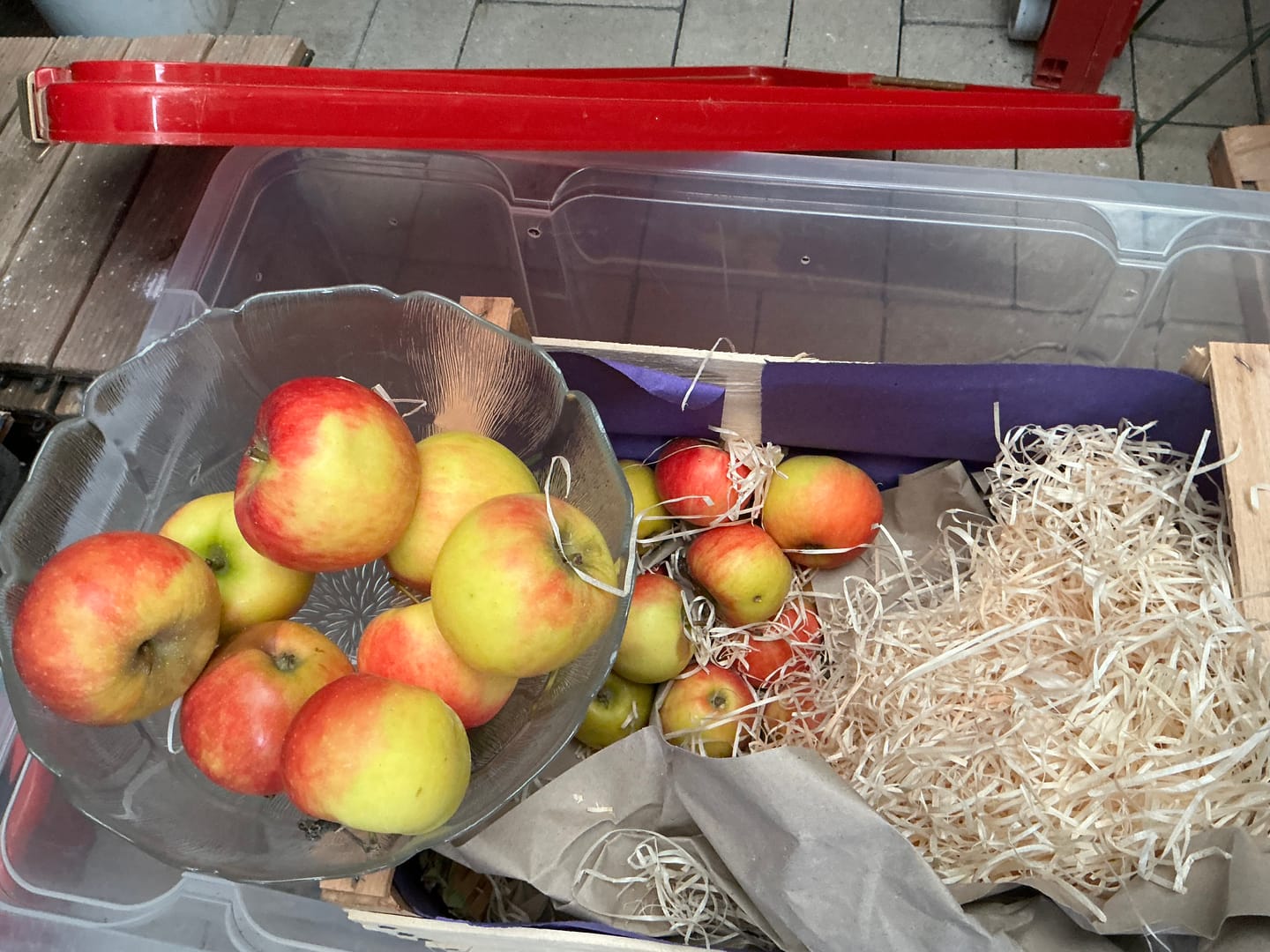 Customer photo review of Bio Apfel „Elstar“ vom Obstgut Erletz Bio regional