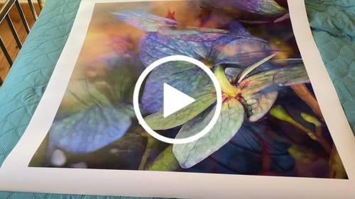 Customer video review of 36x36 Loose Canvas Prints