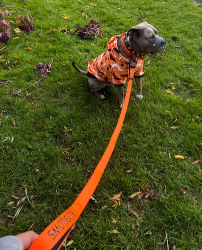 Louise F. review of 1.4m Swivel Combat Lead | Anti-Tangle & Secure Clip - Orange image 1 out of 2