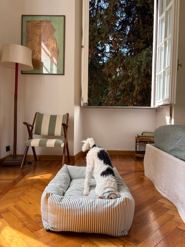 Customer photo review of Divanetto Cotone Righe Strette Verde