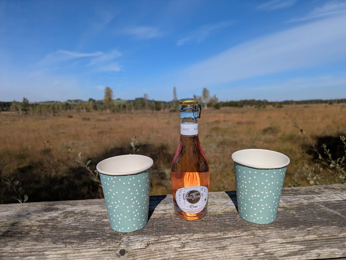 Customer photo review of VinTonic Sommer Package