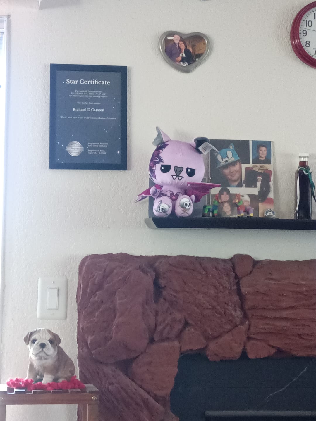 Customer photo review of Violet the Bat Plushie