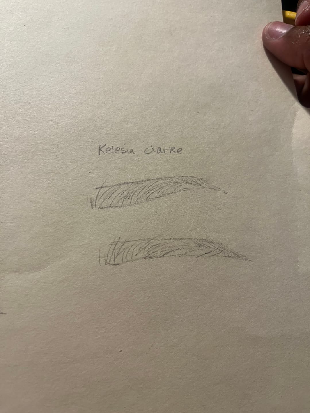 Customer photo review of Ombre Brow & Pixel Stroke Course and Kit Bundle