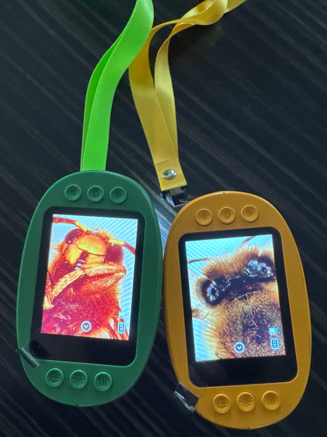 Customer photo review of Edubini Abenteuer-Mikroskop für Kinder