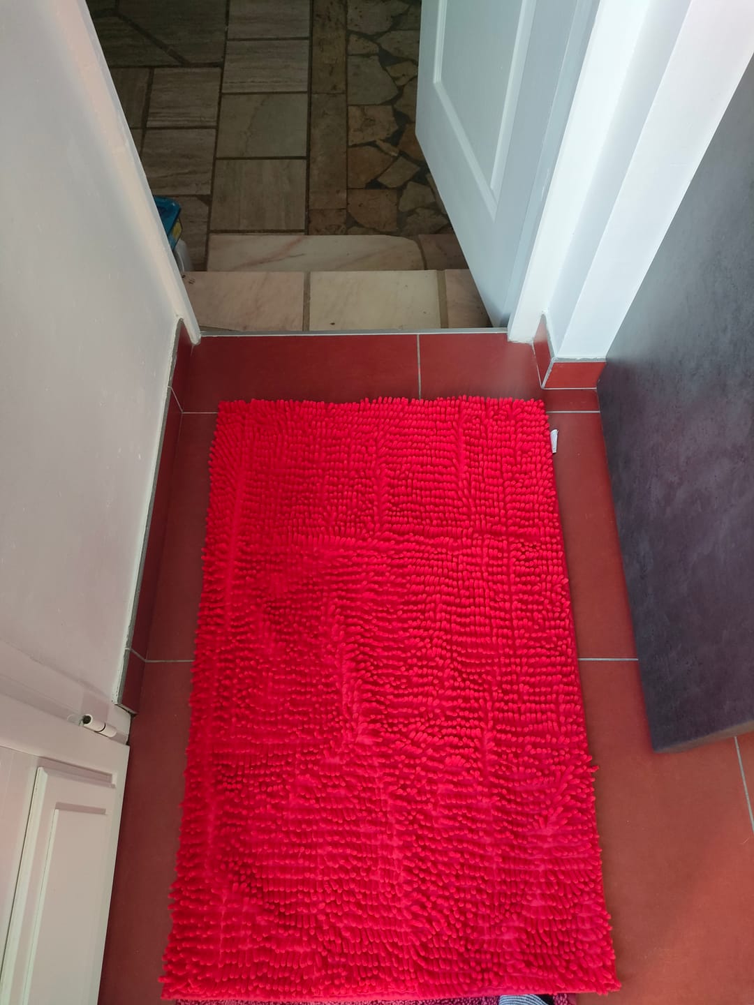 Customer photo review of Tapis Microfibre Ultra-Absorbant et Antidérapant Lavable pour Chien - PawDry