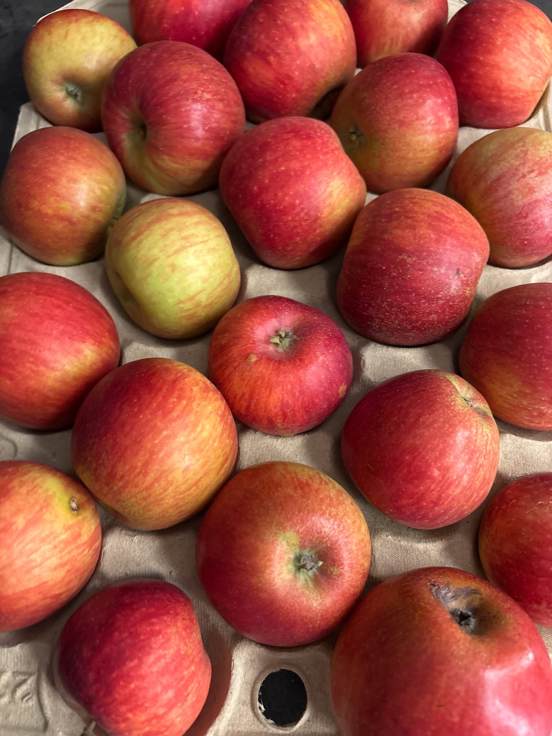 Customer photo review of Apfel "Alkmene" alte Sorte Bio regional