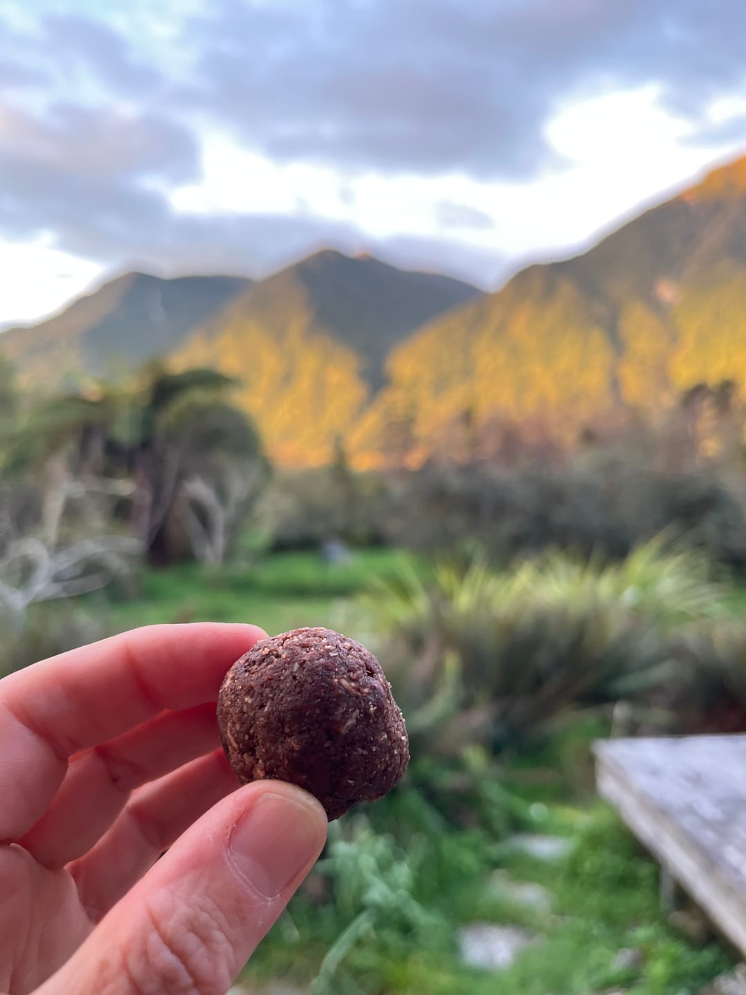 Customer photo review of Mint Chocolate Chip Rad Ball Mix