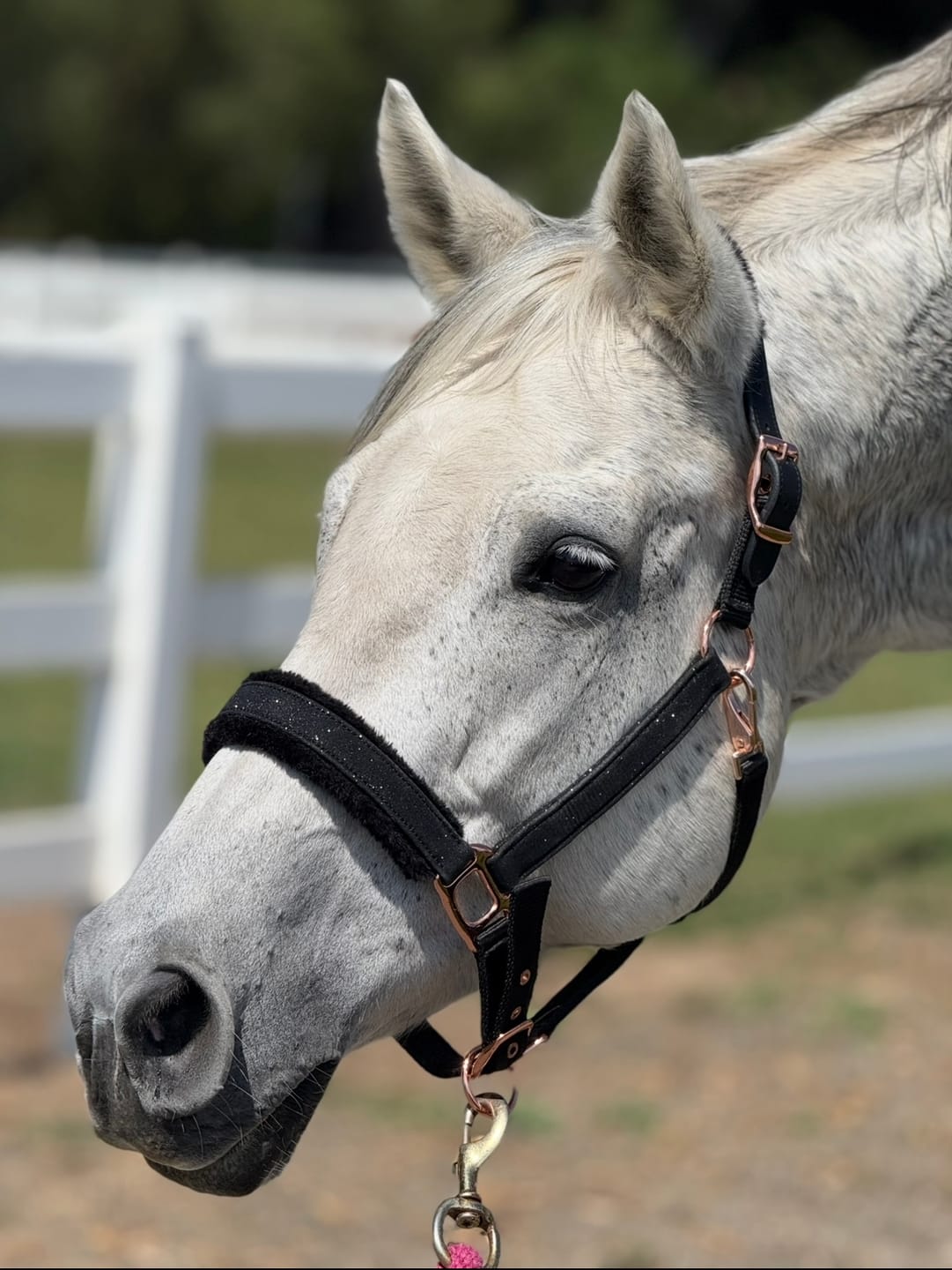 Customer photo review of NEW COLORS- Fantasia's Sparkle Halter