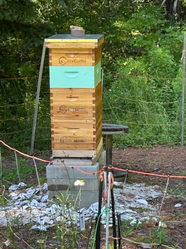 Customer photo review of BeeCastle Hives 8 Frame Unassembled Deep Brood Bee Box With Wooden Frames and Beeswax Foundation