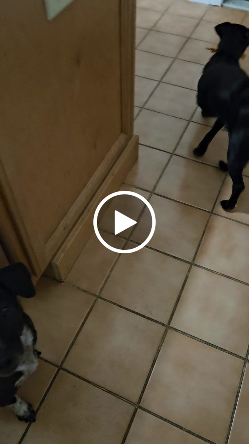 Customer video review of Pumpkin Chicken