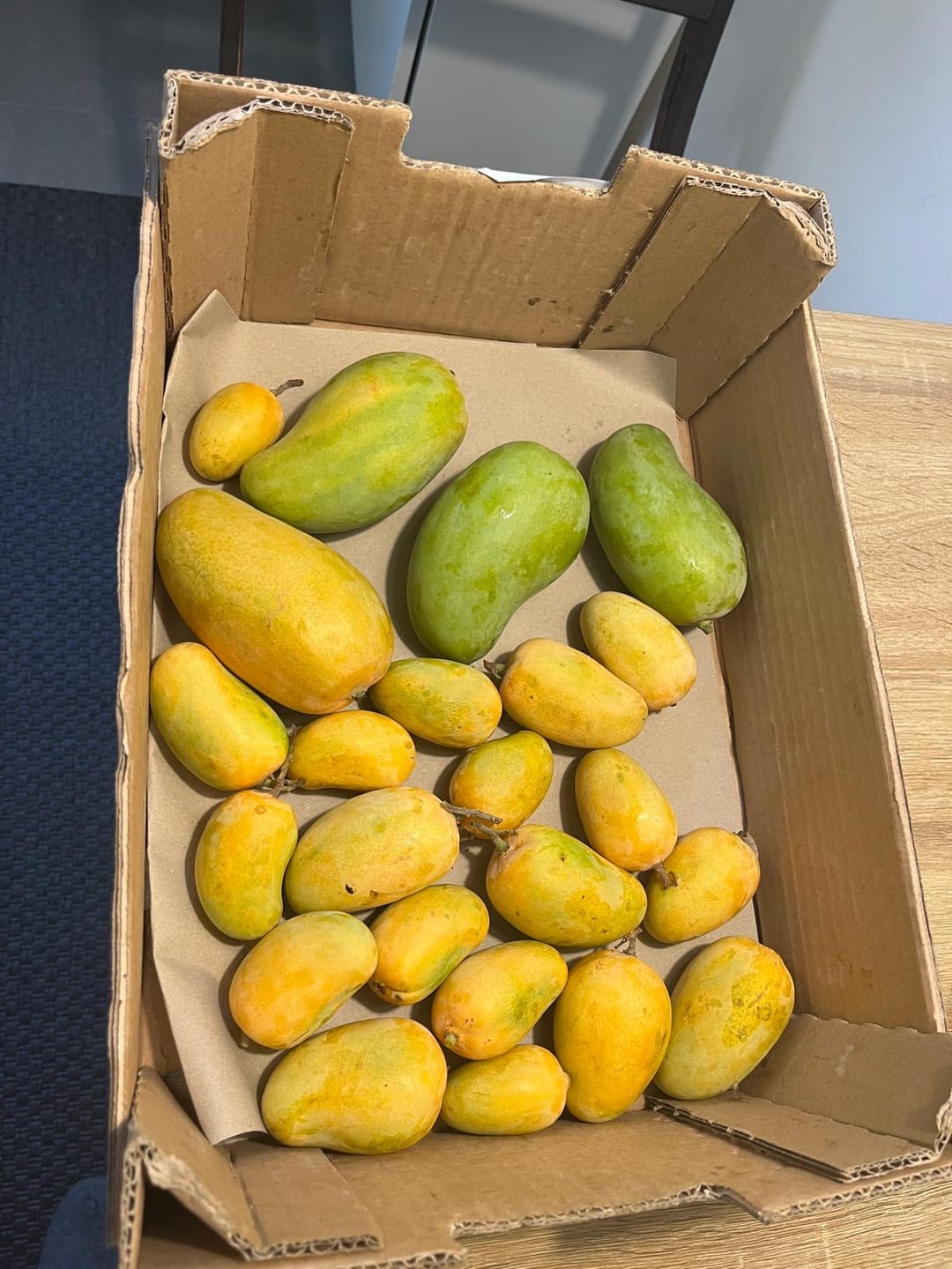 Customer photo review of Baby Honig-Mango Ataulfo Bio von Julian