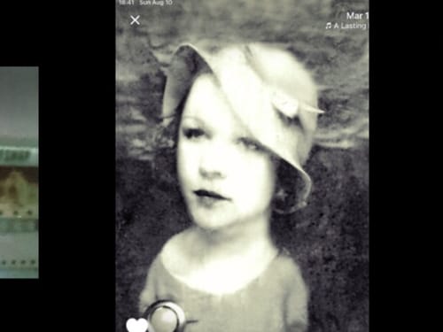 Customer photo review of Belleek Classic Flowers of the Month December - Narcissus