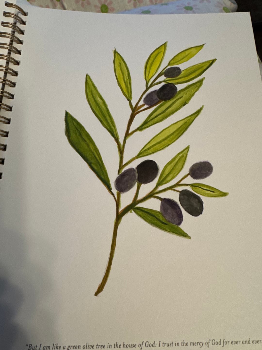 Customer photo review of OCT25 General Conference Watercolor Workbook