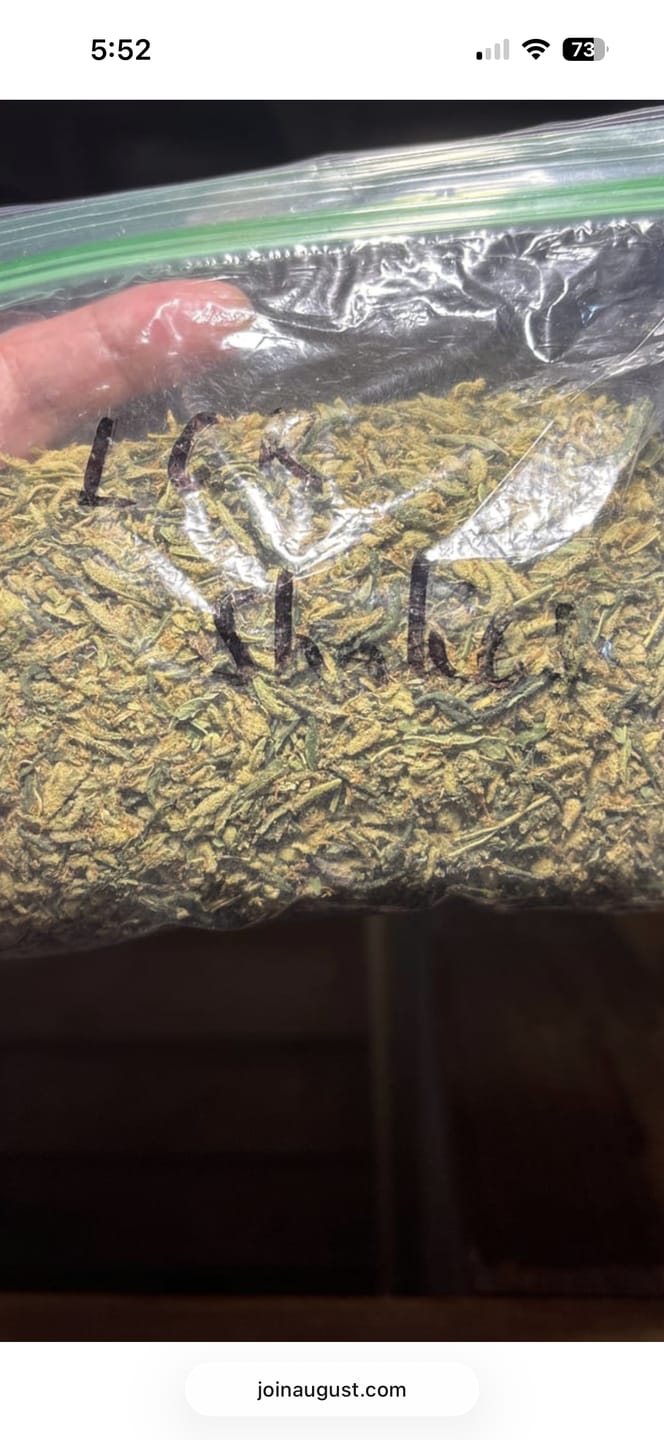 Customer photo review of Exotic Shake