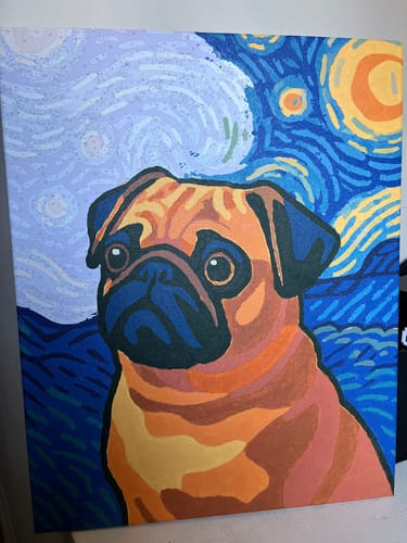 Customer photo review of Pug Estrellado (Pintura por Números) 40x50 cm
