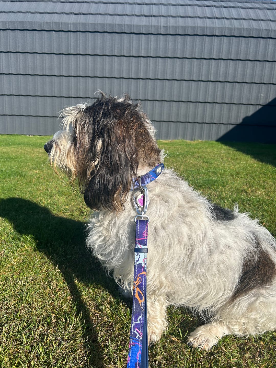 Customer photo review of Multi-Way Lead