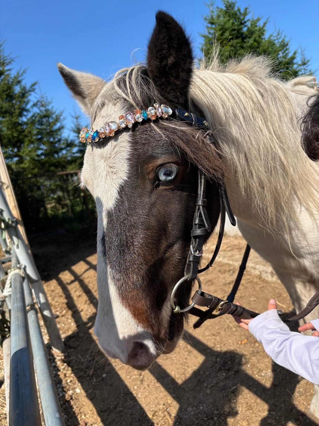 Customer photo review of Ania browband