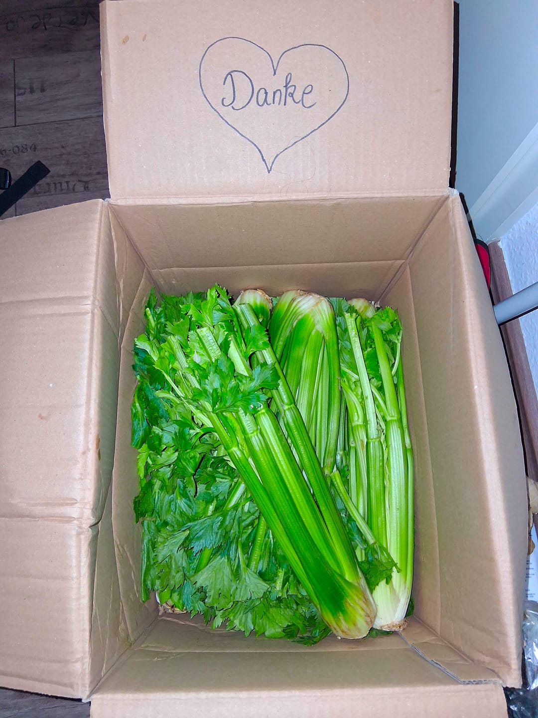 Customer photo review of Stangensellerie Bio regional (Permakultur)