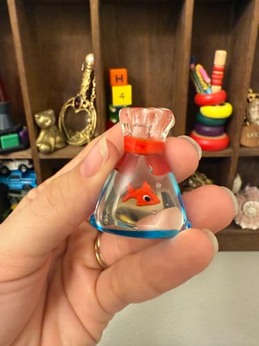 Customer photo review of Tiny Goldfish in a Bag