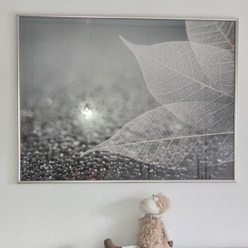 Customer photo review of Poster | Weiße Blätter | Querformat