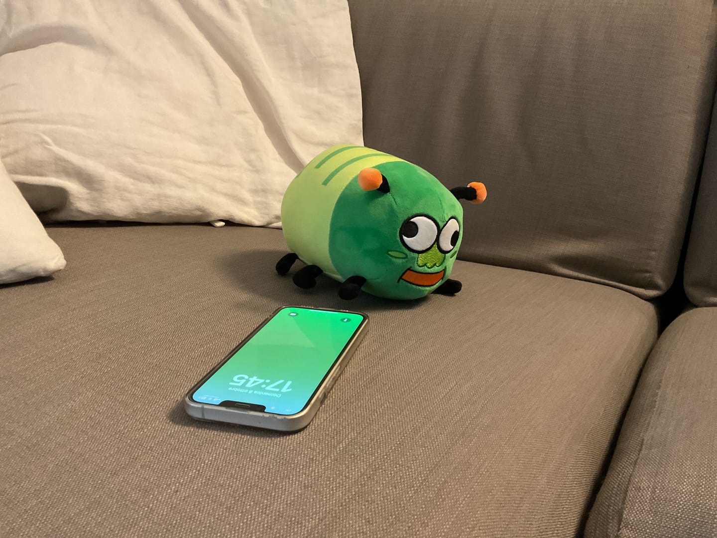 Customer photo review of Peluche Bruco Gianluco + Albo Fumetti e Canzoni!