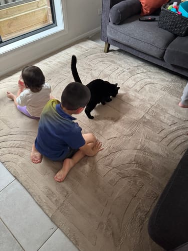 Customer photo review of The Mellow Mat® Cloud Haven 3D (Soft Touch Sensory Tatami Rug)