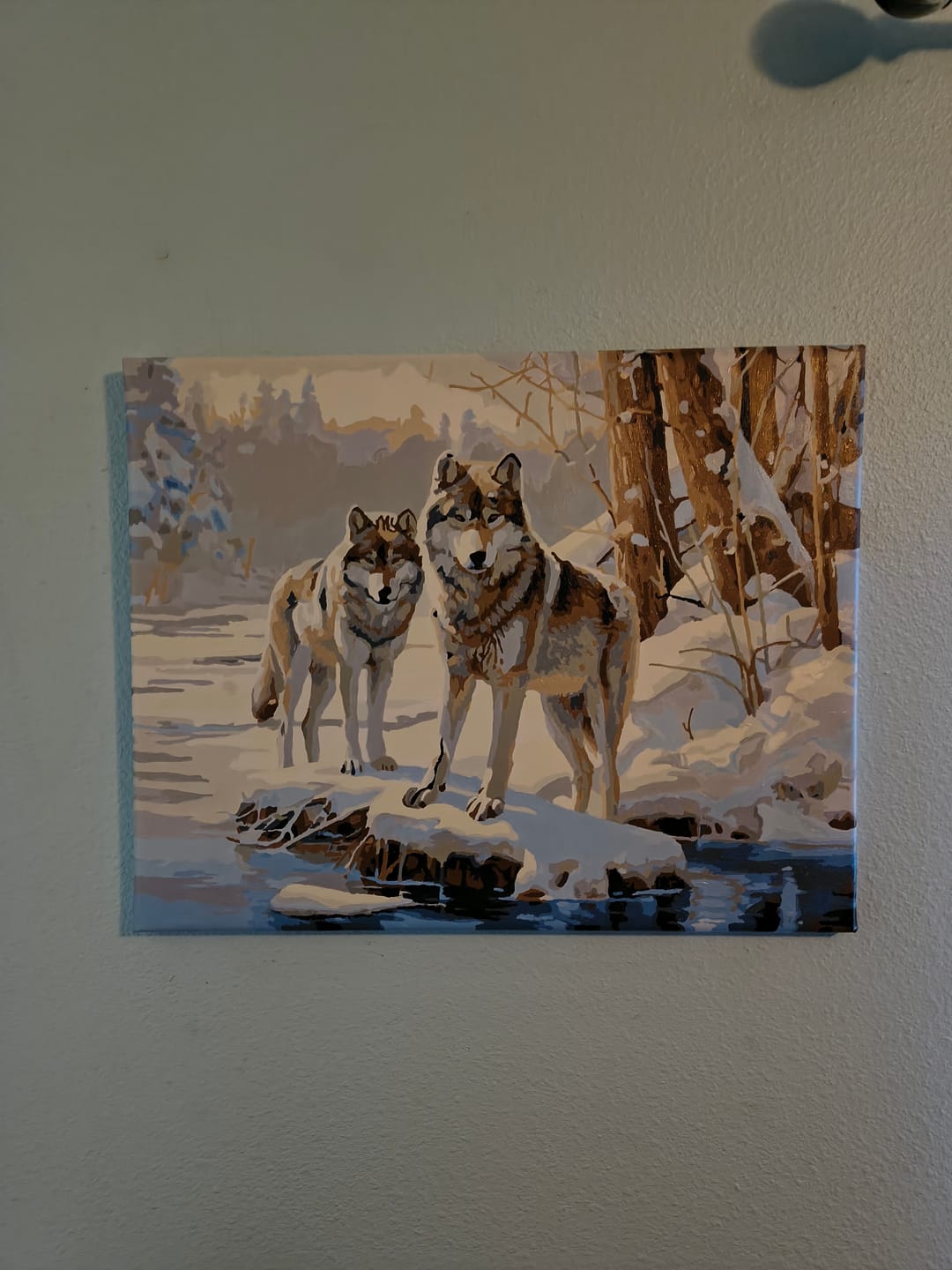 Customer photo review of Snow Wolves