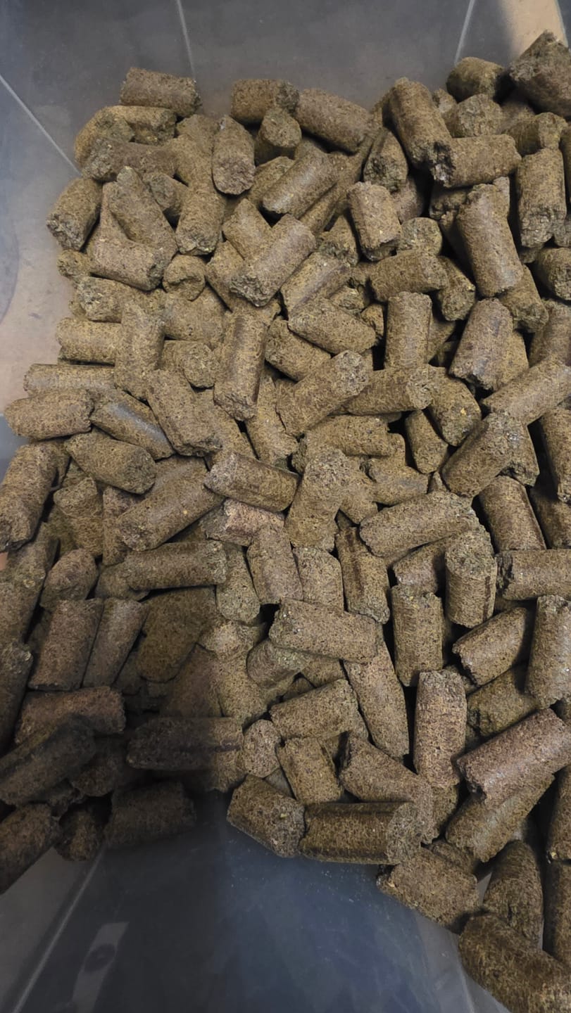 Customer photo review of PFERDESTARK Bio Hanfpellets für Pferde Pferdefutter getreidefrei Mineralfutter 5kg Beutel Hanfkuchen