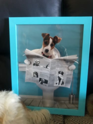 Customer photo review of Important meeting - Personalised Poster