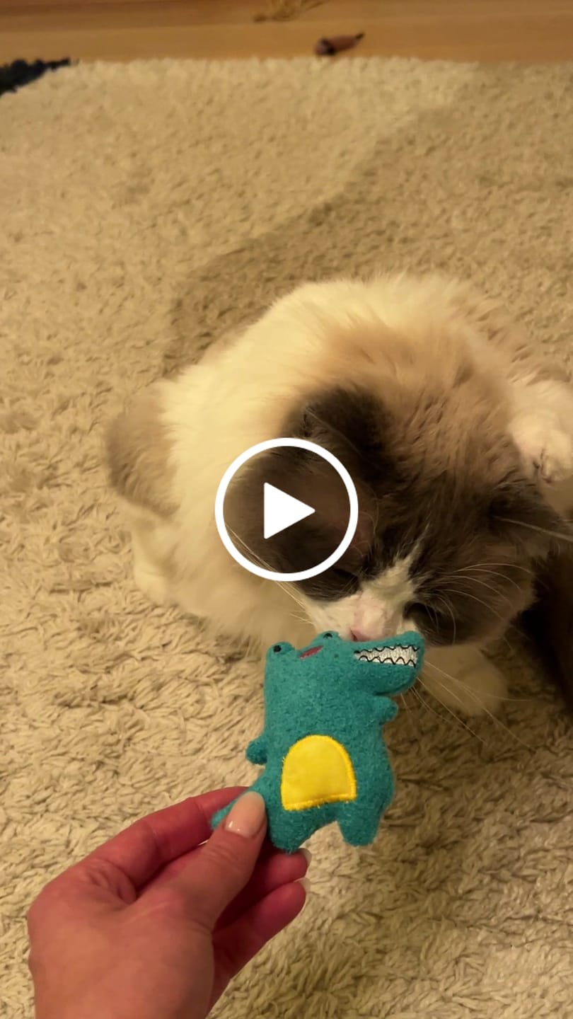 Customer video review of Moo cute katteleker (5 stk)