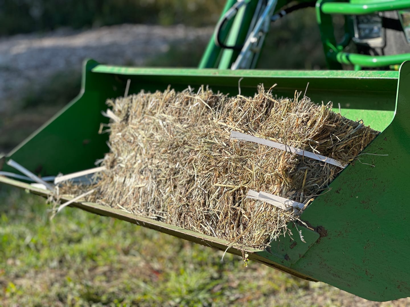 Customer photo review of 1st Cutting Timothy Orchard Grass Hay (Buy More - Save More)(Includes delivery too!)
