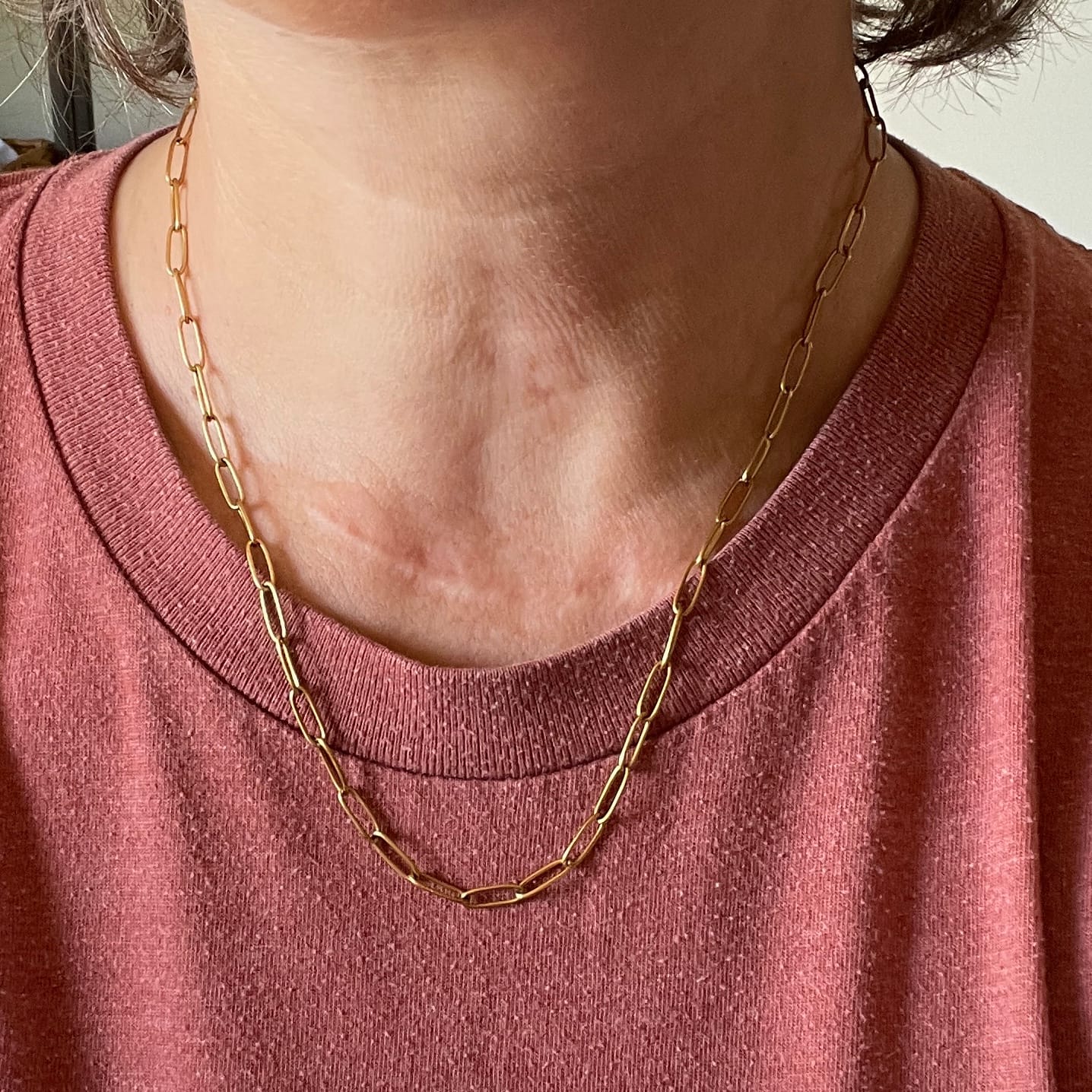 Customer photo review of Maui Paperclip Necklace (Bundle)