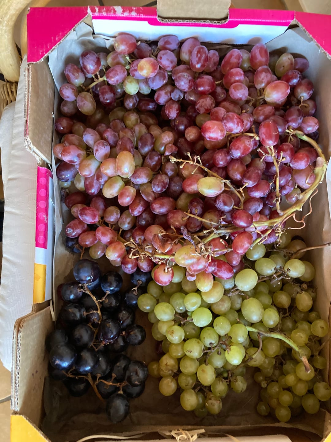 Customer photo review of Trauben Mix Bio von Filippo Sonderpreis % 4kg