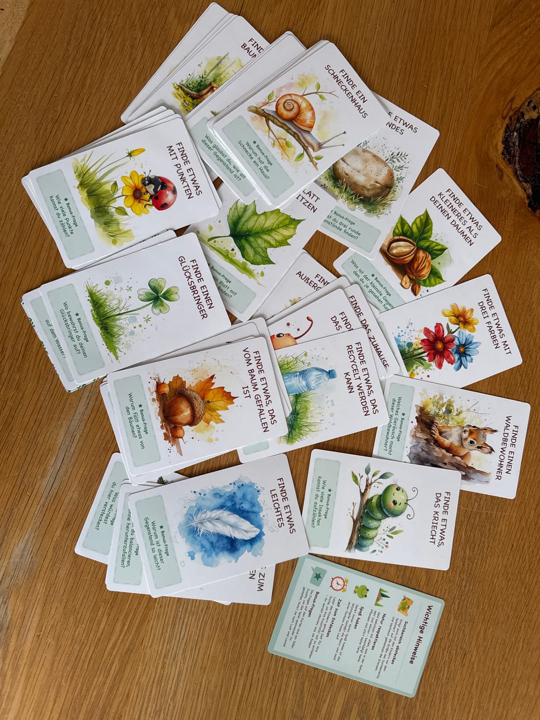 Customer photo review of Edubini Gefunden! Outdoor Suchspiel für Kinder