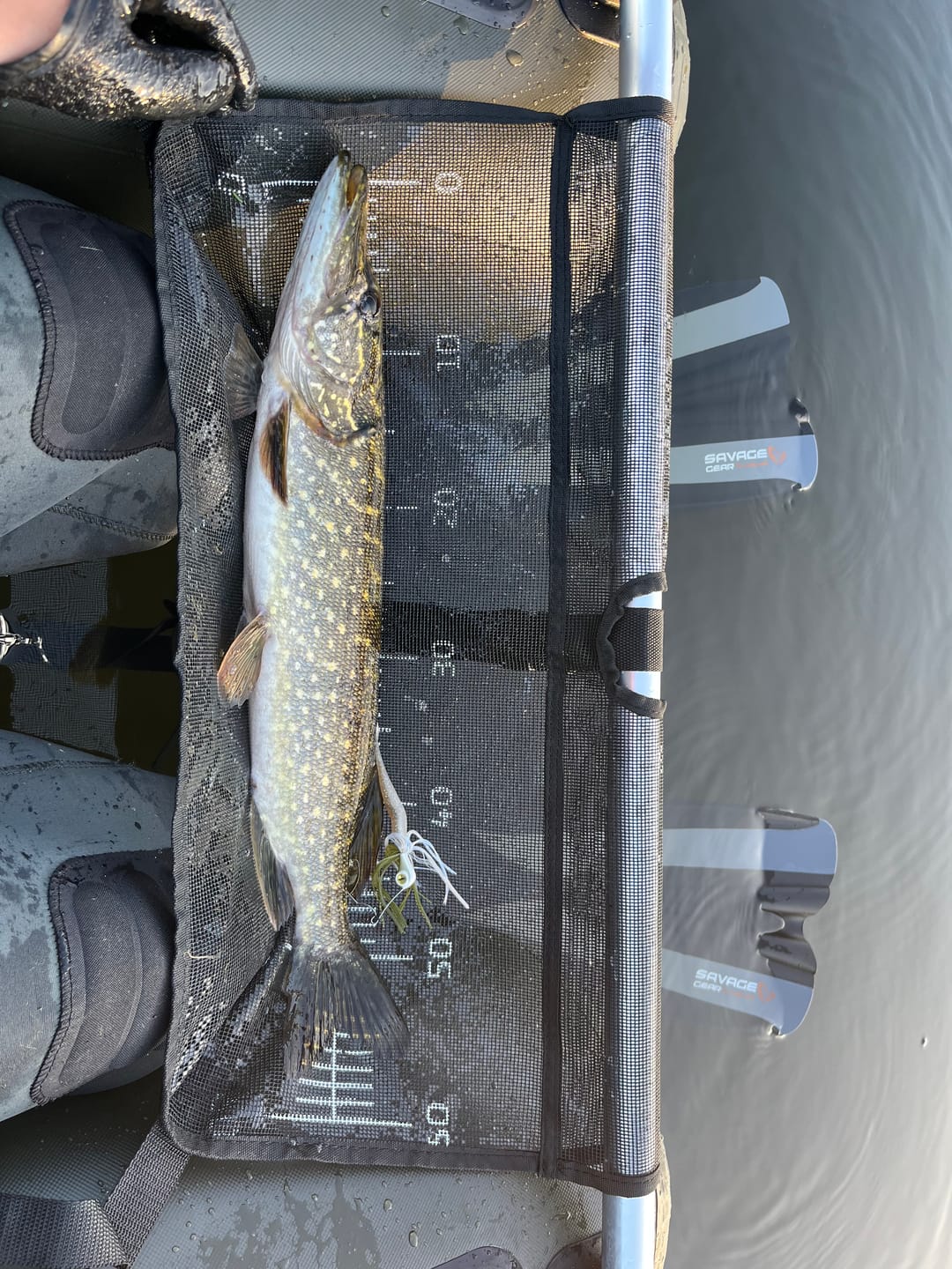 Customer photo review of Lure Drop