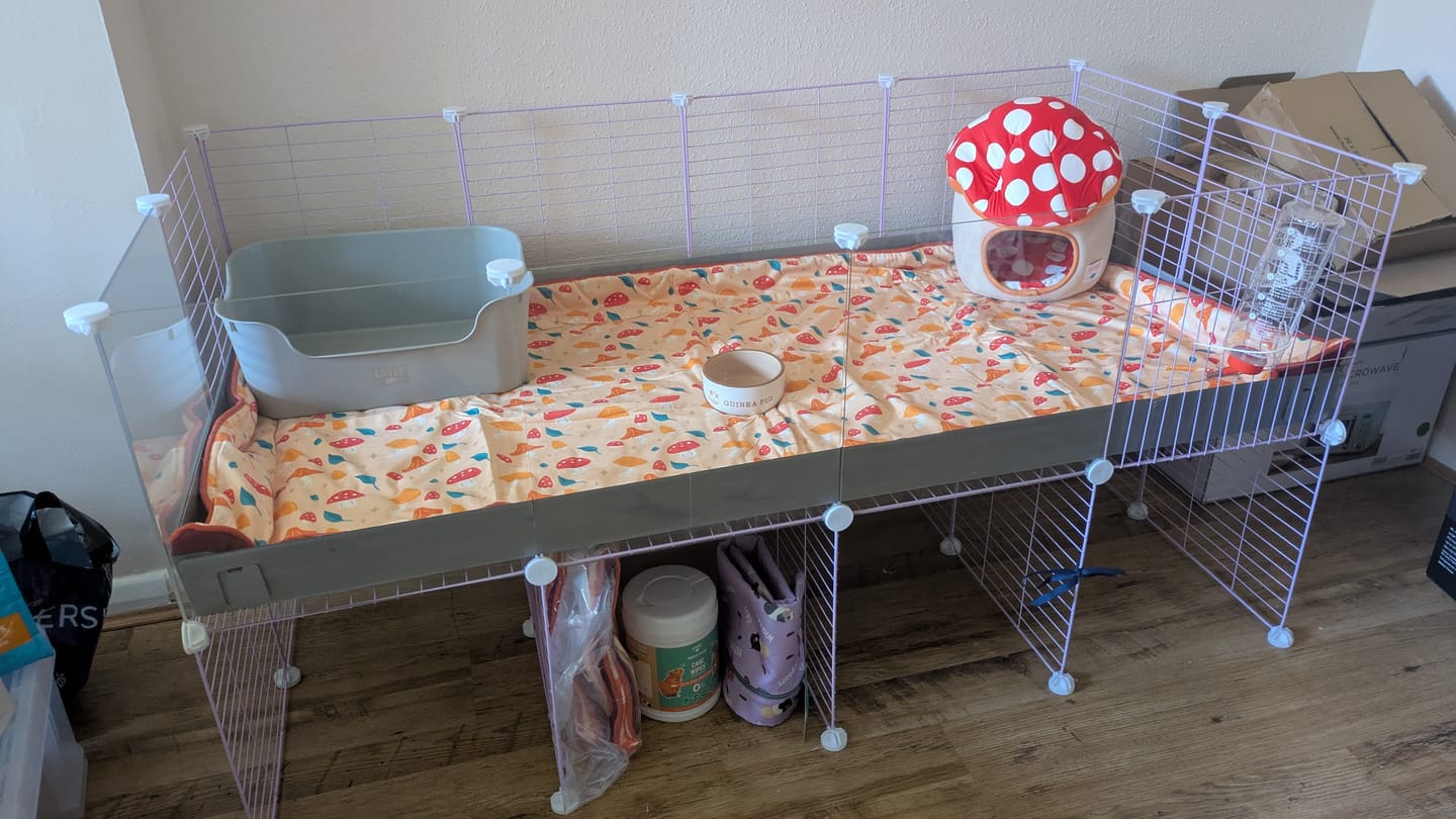 Customer photo review of 4x2 C&C Cage with Stand
