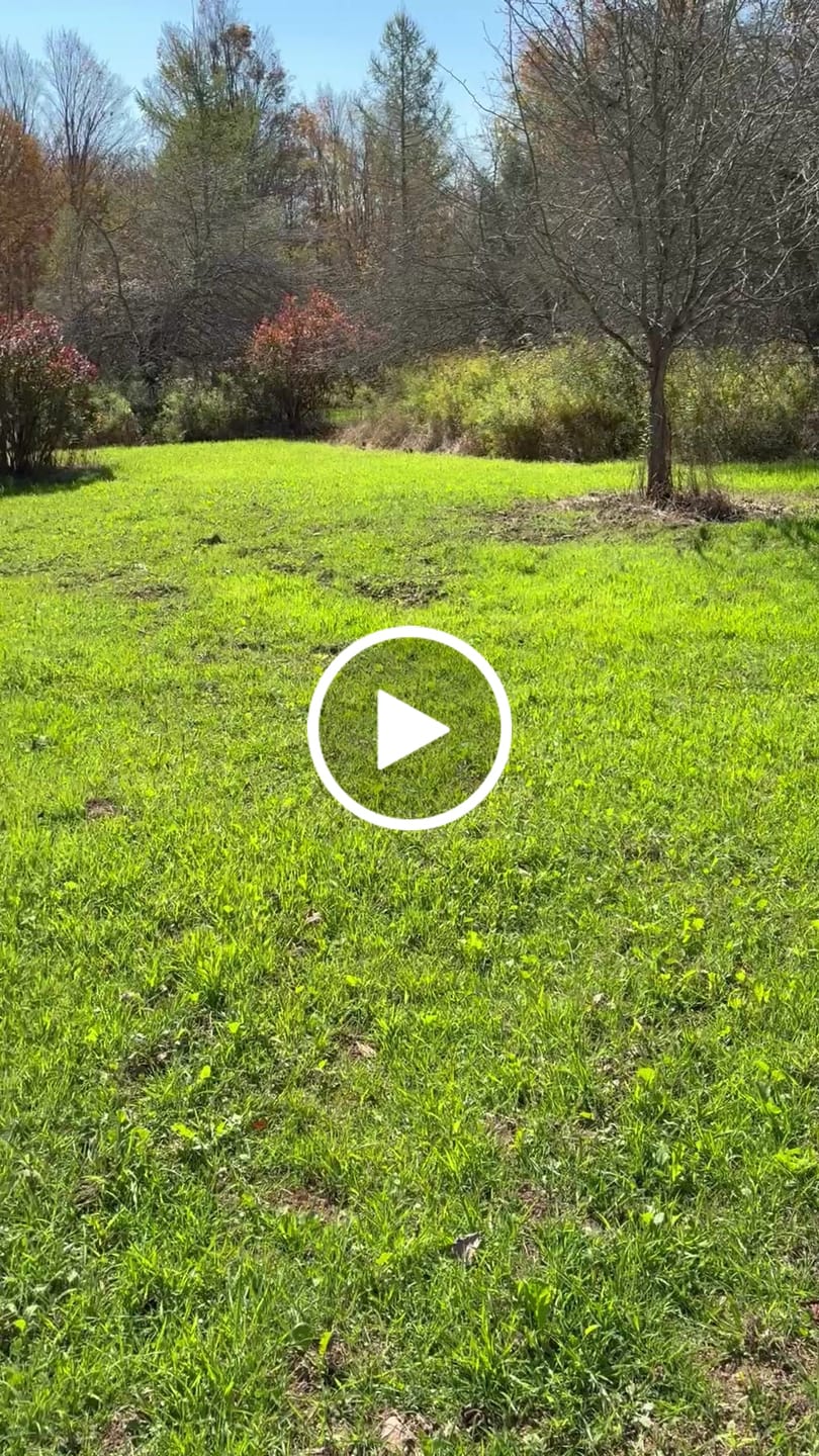 Customer video review of Kill Plot