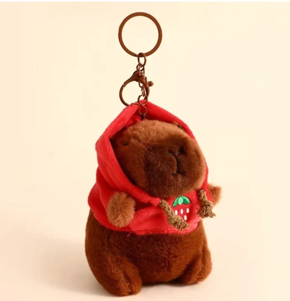 Customer photo review of Capybara with Hoodie Keychain