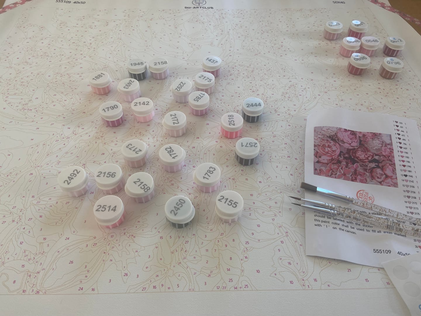 Customer photo review of Pink Peonies Background | Paint by Numbers